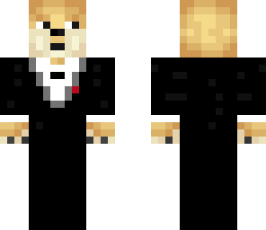 doge in a suit
