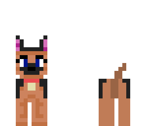 german sheperd