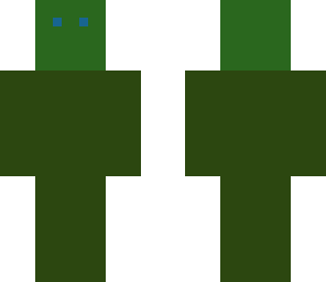 camo flage2