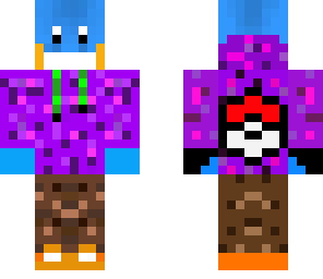 pokeflag v4