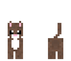 brown cat