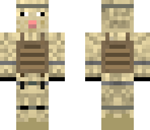 homeless sheep v2