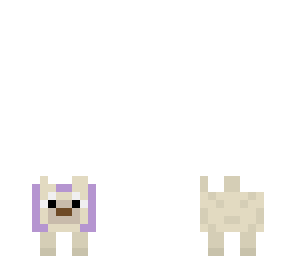 pug dog