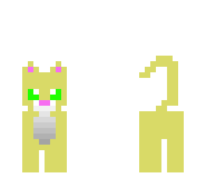 my cat