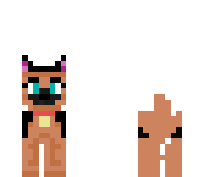 my dog