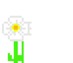 big white flower