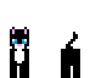 kitty cat