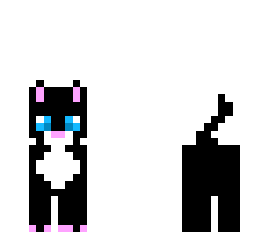 kitty cat