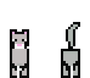 siamese cat