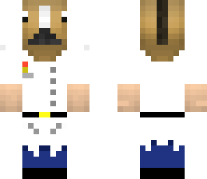 doctor horse