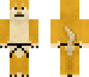 black belt ninja doge