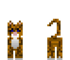 kitty