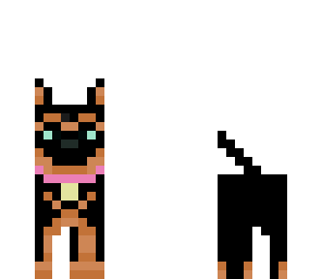 pink collar dog