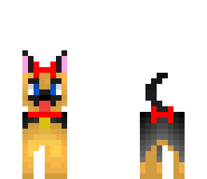 cute bows puppie