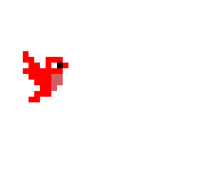 red bird