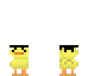 ninja duck