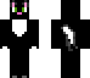 black and white kitty