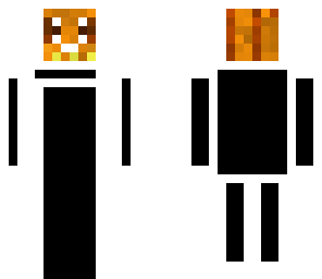 ter1