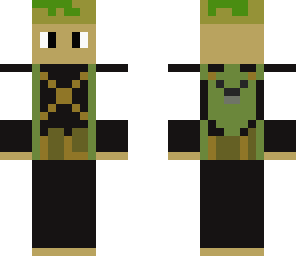 vietnam war regional force medic