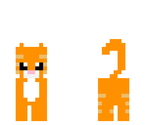orange kitty