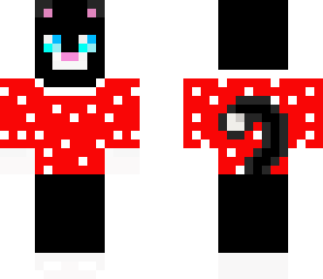 cat in a sweater
