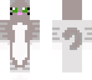 kitty cat