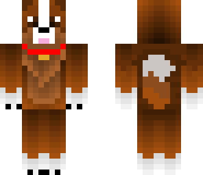 saint bernard