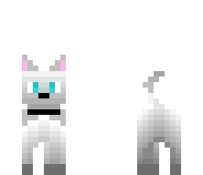 new dog