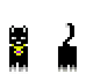 black sky cat