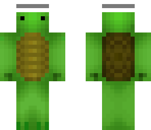 fancy turtles