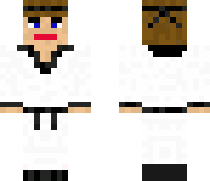 the karate master