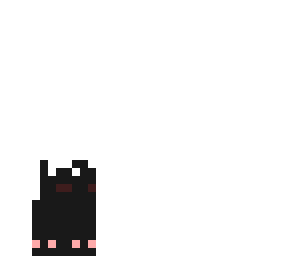 baby cat