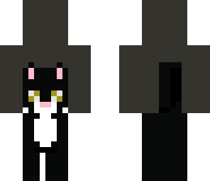 kitten 