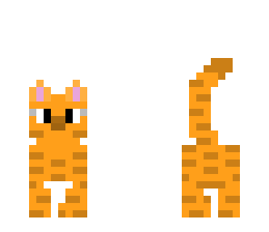 tom cat