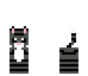 kitty kat