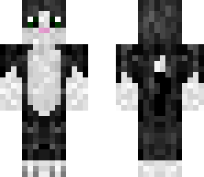 cat black