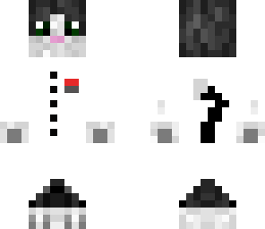 doctor cat