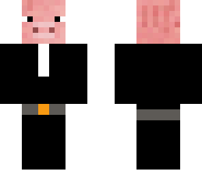 msr pigi