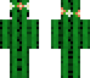 cute cactus