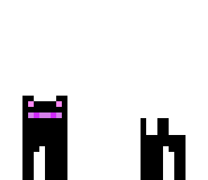 ender pet