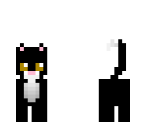 10 likes 4 kitty
