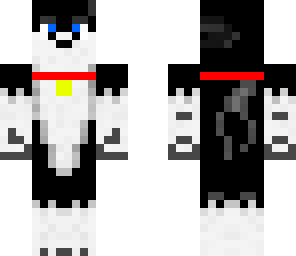 pet husky