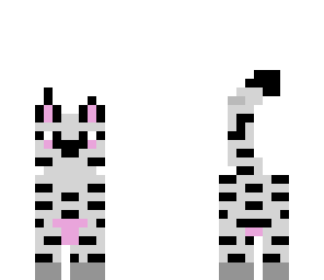 zebra cat