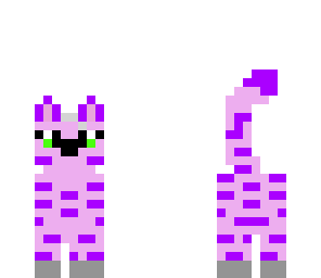 pink and purple kitty
