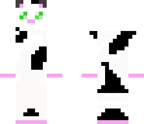 cat white black chai