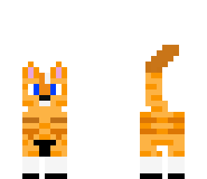 imma cat