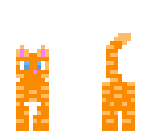 little orange cat