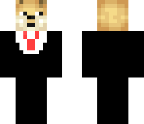 doge judge
