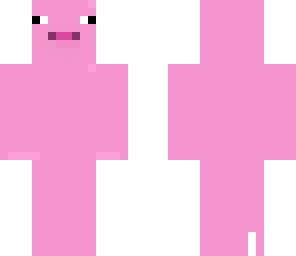 pig