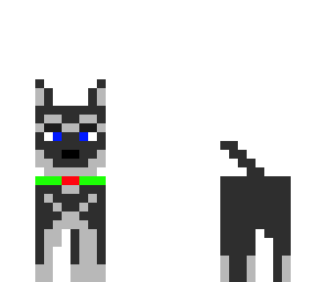cute dog
